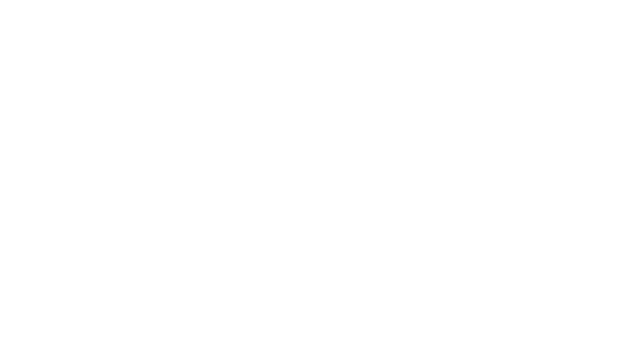 Blanco Nino logo